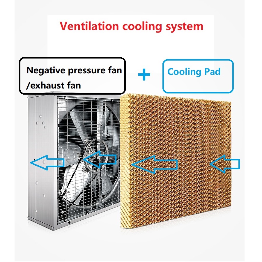 Hệ thống làm mát không khí đã sử dụng Rèm phương tiện làm mát Cellulose Honeycomb Media Rèm